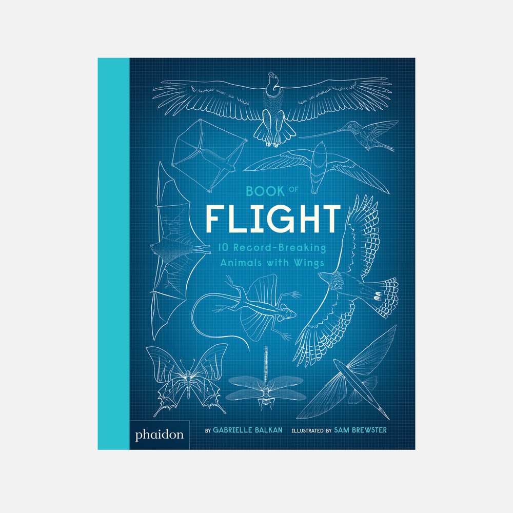 Book of Flight: 10 Record-Breaking Animals with Wings