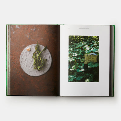 Ana Ros: Sun and Rain