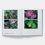 Hans Haacke: All Connected