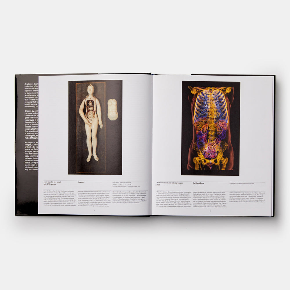 Anatomy: Exploring the Human Body