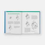 How to Draw Manga Animals: A Beginner's Guide to Creating Characters