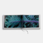 Food & Drink: Modernist Cuisine Photography