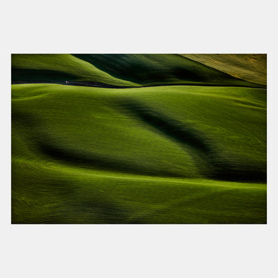 Food & Drink: Modernist Cuisine Photography