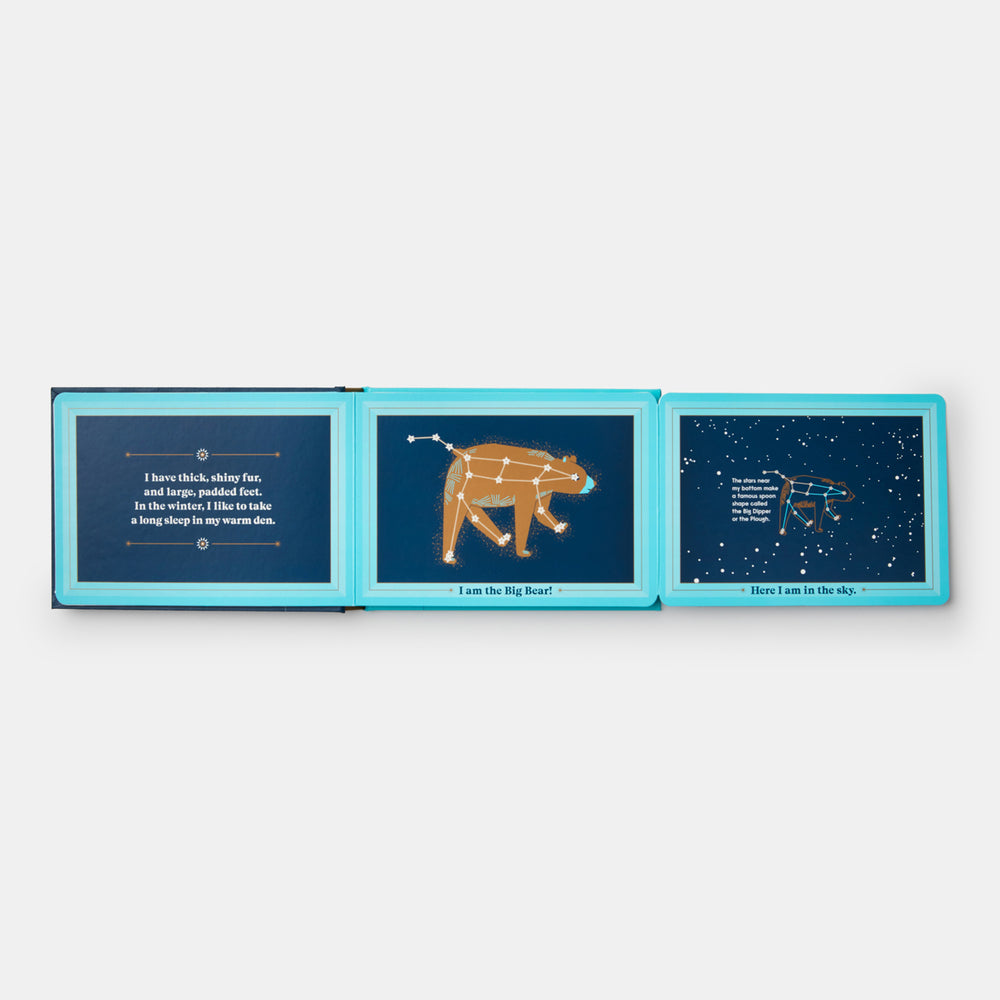 Animals in the Sky