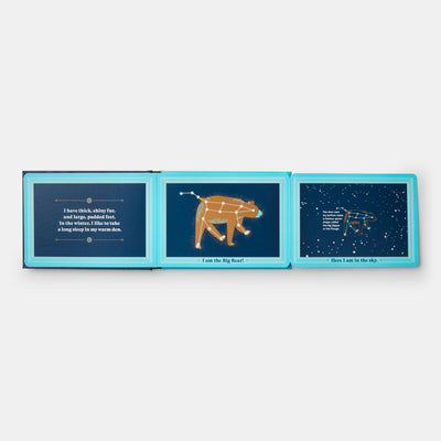 Animals in the Sky