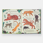 Extinct: An Illustrated Exploration of Animals That Have Disappeared