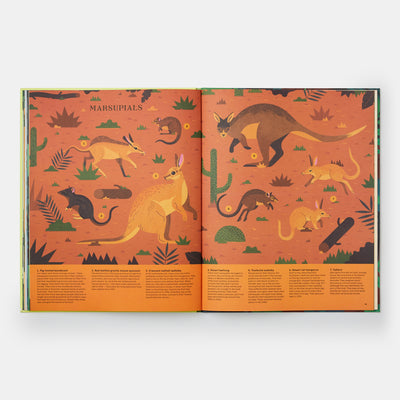 Extinct: An Illustrated Exploration of Animals That Have Disappeared