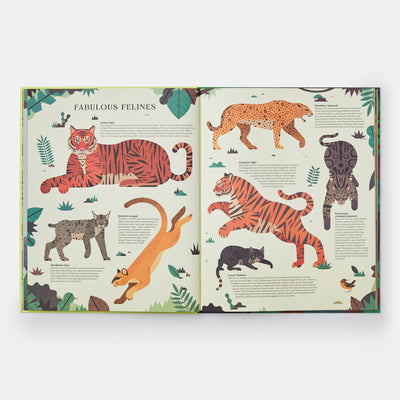 Extinct: An Illustrated Exploration of Animals That Have Disappeared