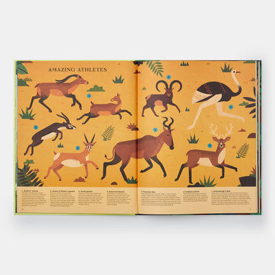 Extinct: An Illustrated Exploration of Animals That Have Disappeared