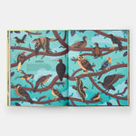 Extinct: An Illustrated Exploration of Animals That Have Disappeared