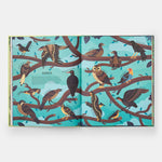 Extinct: An Illustrated Exploration of Animals That Have Disappeared