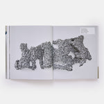 Lynda Benglis