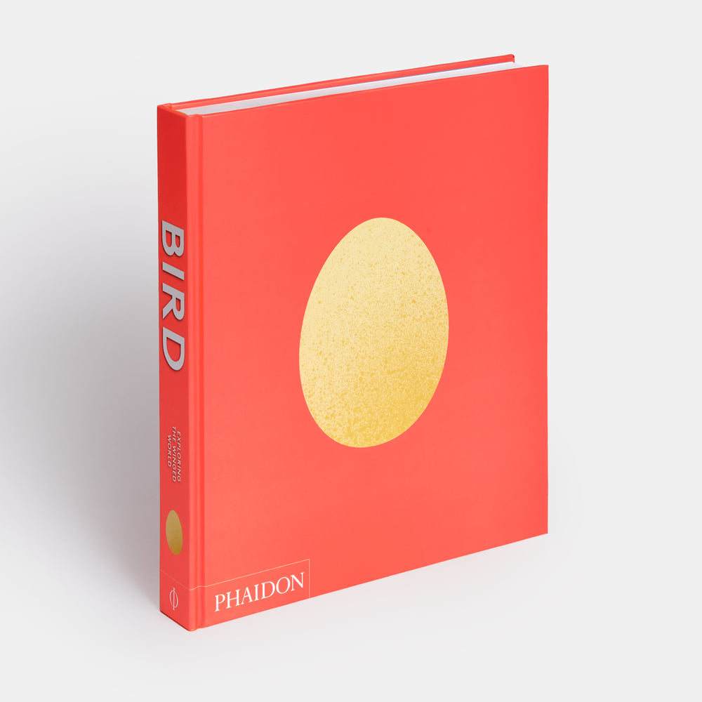 Bird: Exploring the Winged World