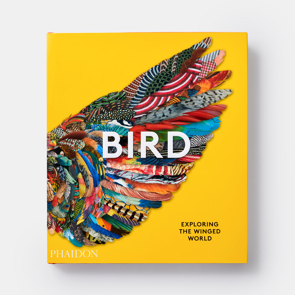 Bird: Exploring the Winged World
