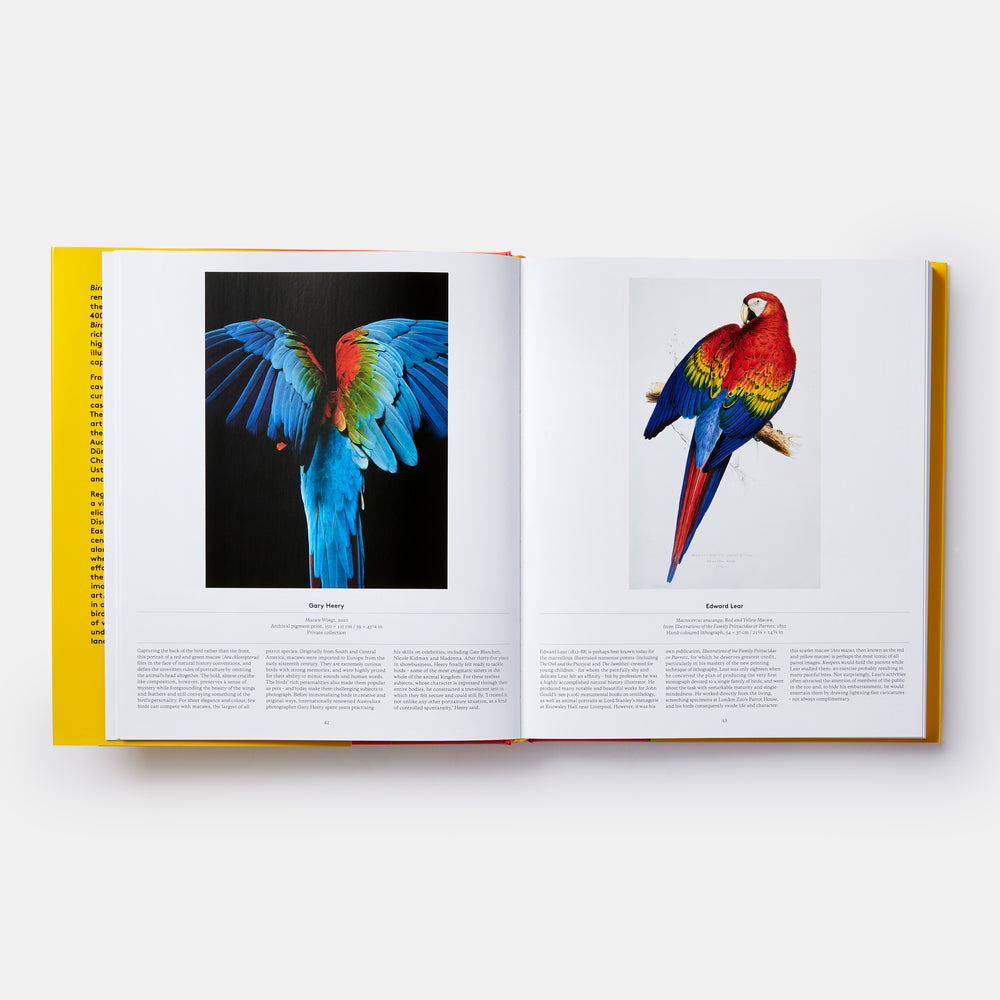 Bird