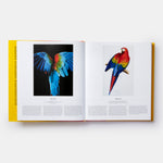 Bird: Exploring the Winged World