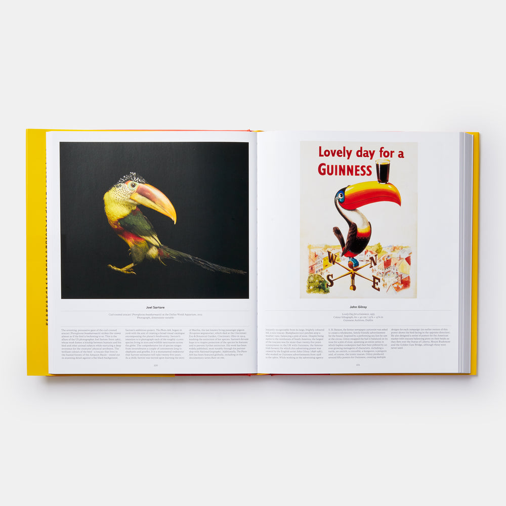 Bird: Exploring the Winged World