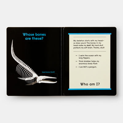 Whose Bones?: An Animal Guessing Game