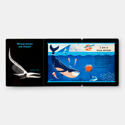 Whose Bones?: An Animal Guessing Game