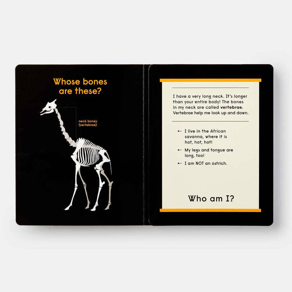 Whose Bones?: An Animal Guessing Game