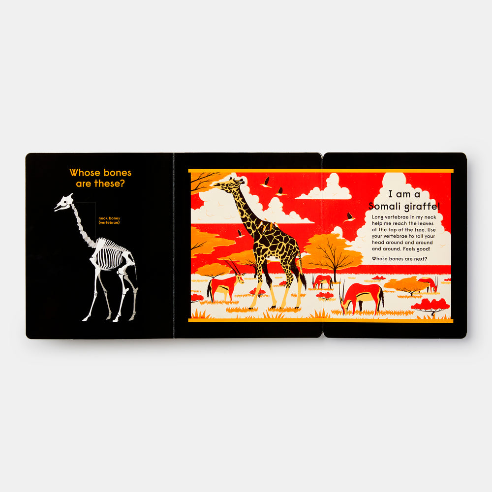 Whose Bones?: An Animal Guessing Game