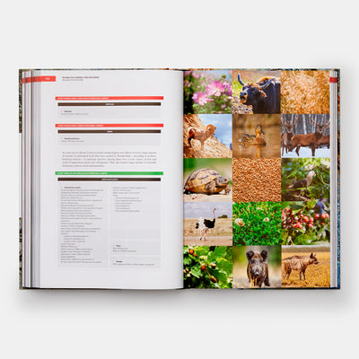 The Origins of Cooking: Palaeolithic and Neolithic Cooking