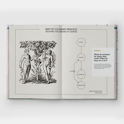 What is Cooking: The Action: Cooking, The Result: Cuisine