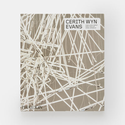 Cerith Wyn Evans
