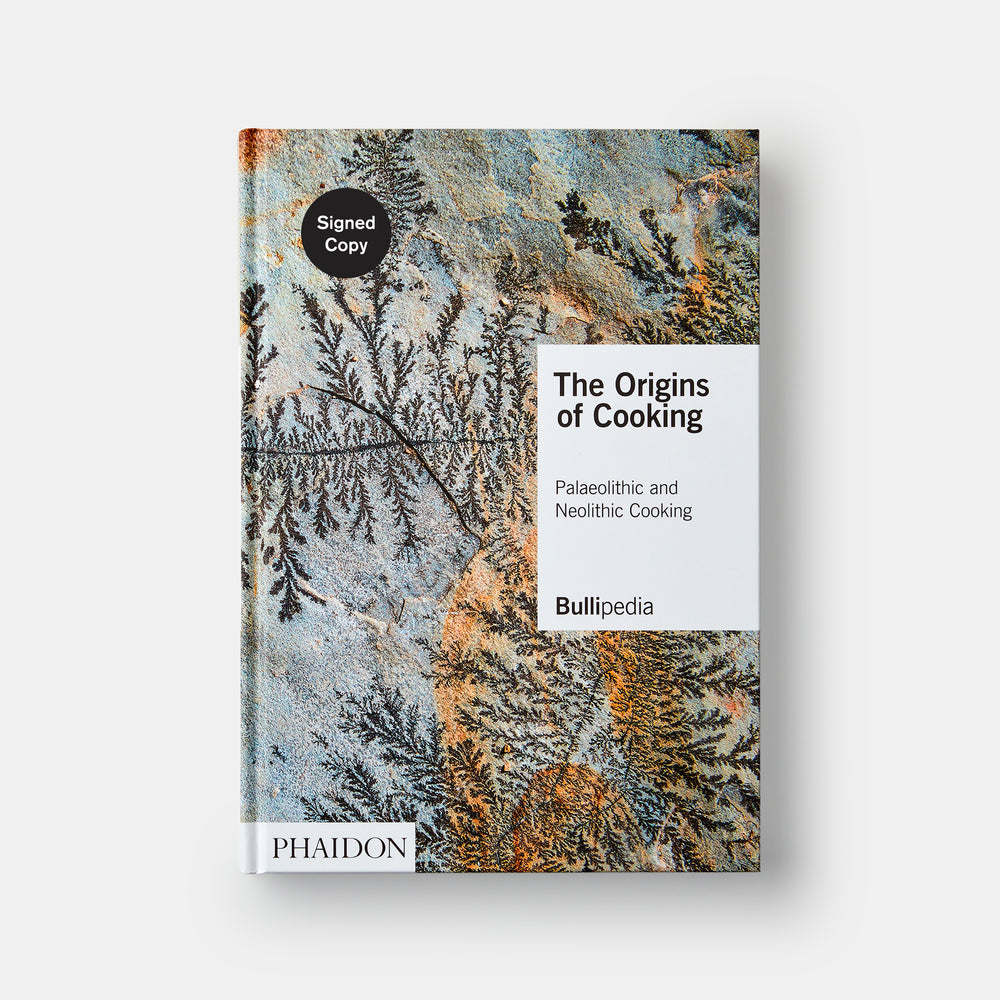 The Origins of Cooking: Palaeolithic and Neolithic Cooking