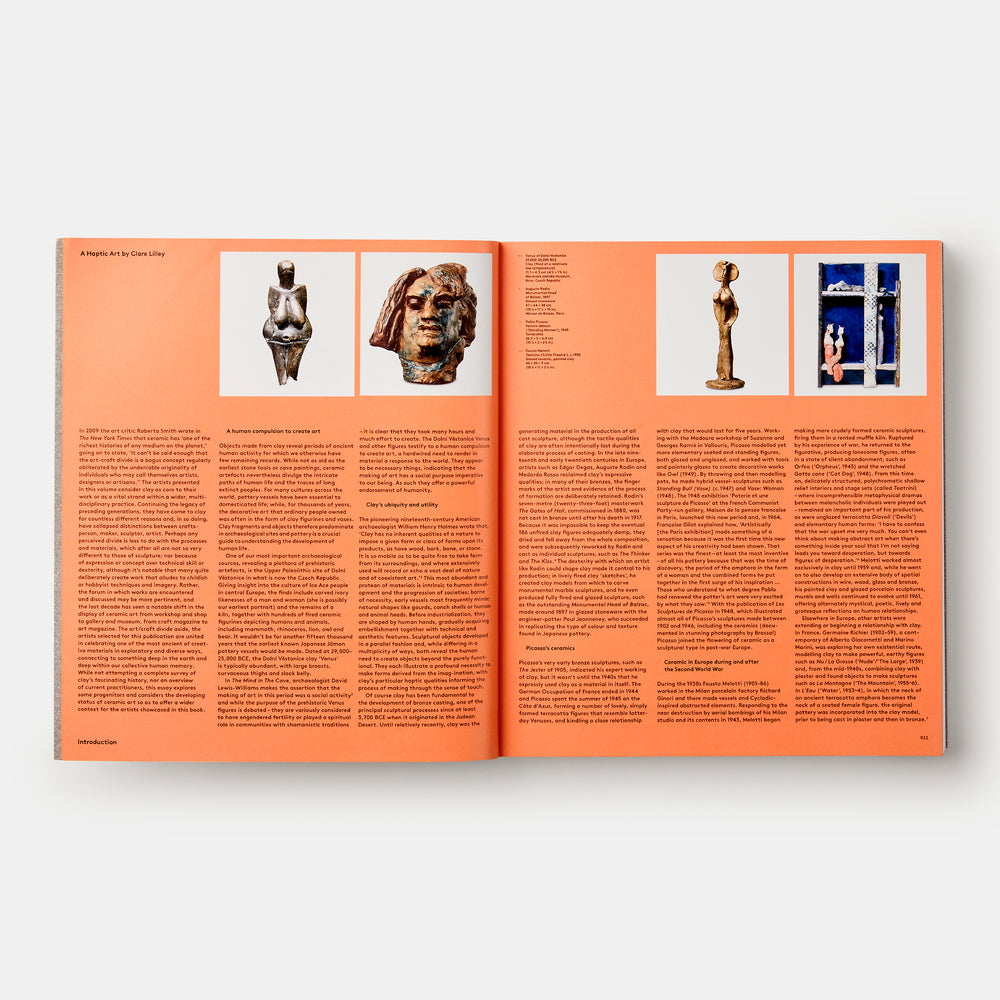 Vitamin C: Clay and Ceramic in Contemporary Art