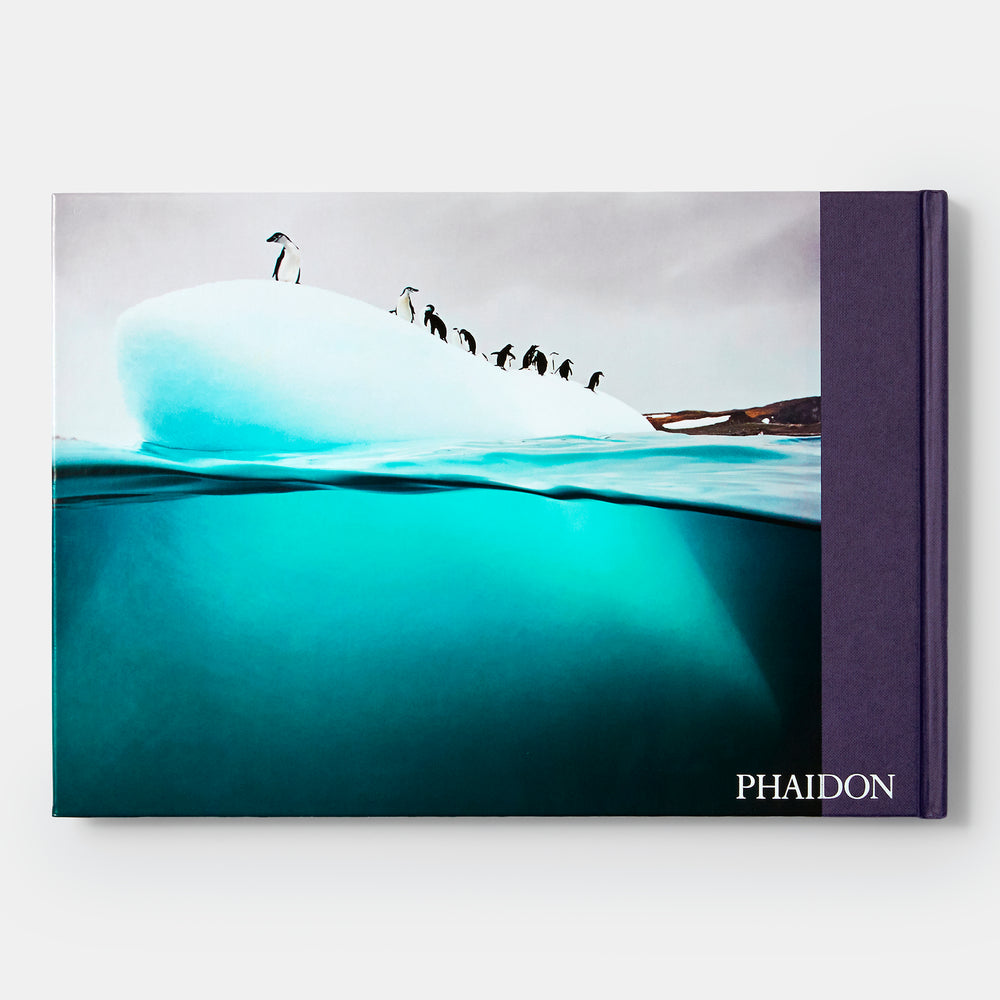 Two Worlds: Above and Below the Sea