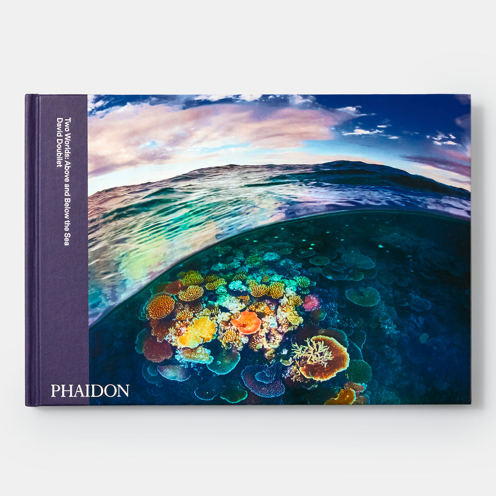 Two Worlds: Above and Below the Sea