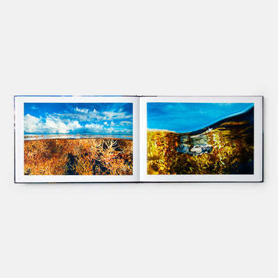 Two Worlds: Above and Below the Sea