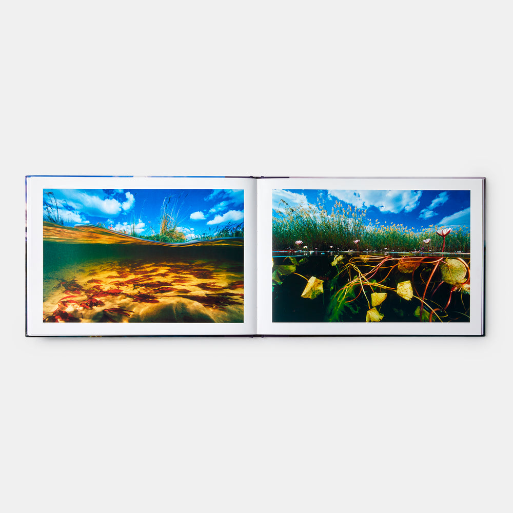 Two Worlds: Above and Below the Sea