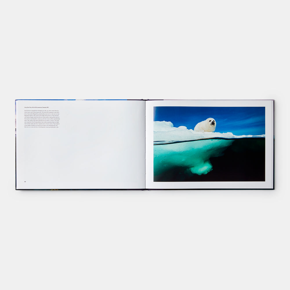 Two Worlds: Above and Below the Sea