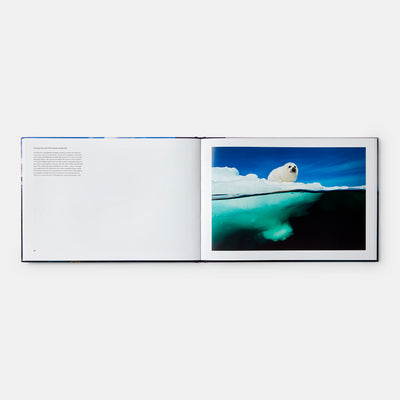 Two Worlds: Above and Below the Sea