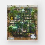 Rashid Johnson
