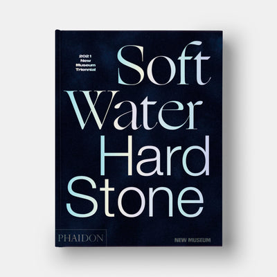 Soft Water Hard Stone: 2021 New Museum Triennial