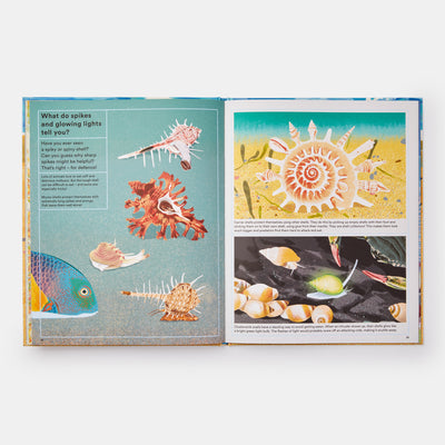 What A Shell Can Tell