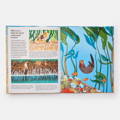 What A Shell Can Tell