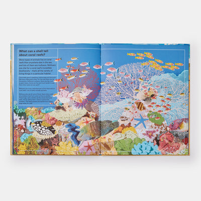 What A Shell Can Tell