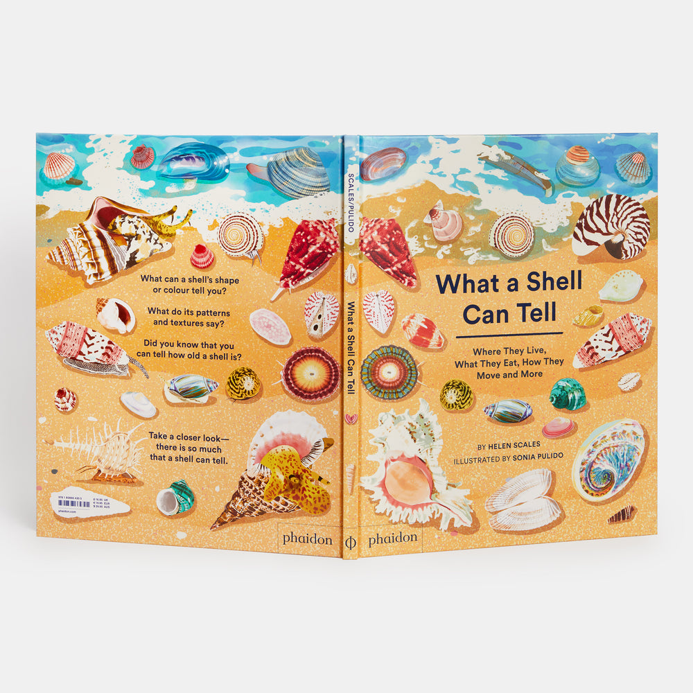 What A Shell Can Tell