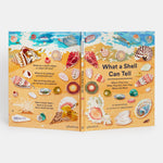 What A Shell Can Tell