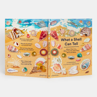 What A Shell Can Tell