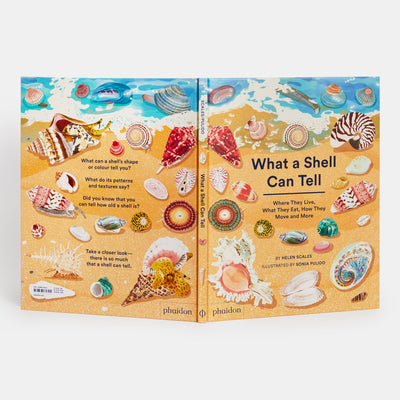 What A Shell Can Tell