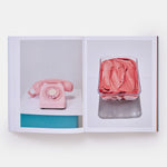 The River Cafe Look Book: Recipes for Kids of all Ages