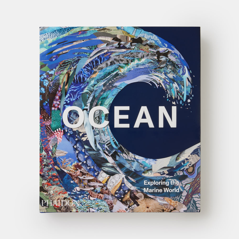 Ocean