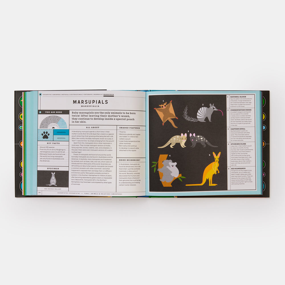 Full of Life: Exploring Earth's Biodiversity