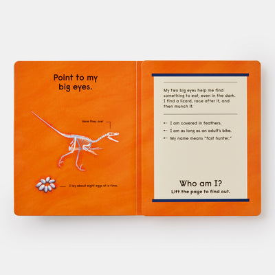 Who's That Dinosaur?: An Animal Guessing Game