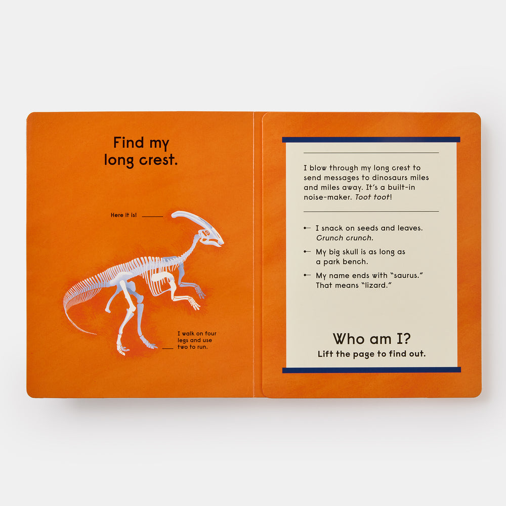 Who's That Dinosaur?: An Animal Guessing Game
